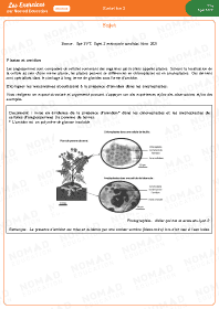 Image d'illustration
