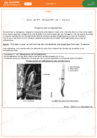 Image d'illustration