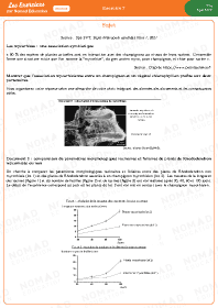 Image d'illustration