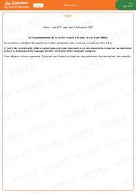 Image d'illustration