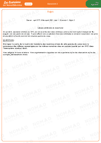 Image d'illustration