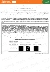 Image d'illustration