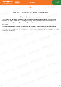 Image d'illustration
