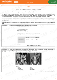 Image d'illustration
