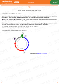 Image d'illustration