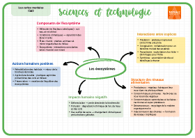 Image d'illustration