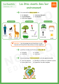 Image d'illustration