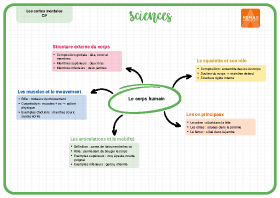 Image d'illustration
