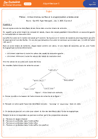 Image d'illustration