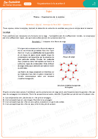 Image d'illustration