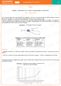 Image d'illustration