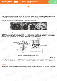 Image d'illustration