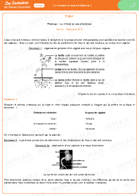 Image d'illustration