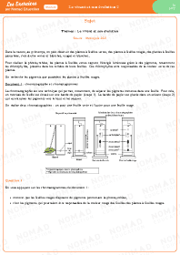 Image d'illustration