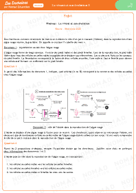 Image d'illustration