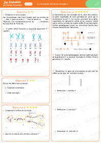 Image d'illustration