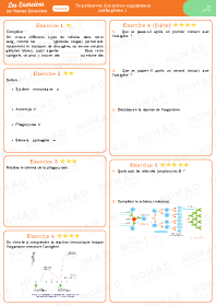 Image d'illustration