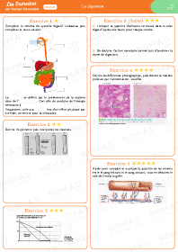 Image d'illustration
