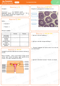 Image d'illustration