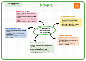 Image d'illustration