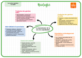 Image d'illustration