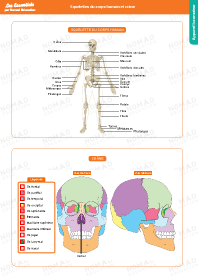 Image d'illustration