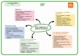 Image d'illustration