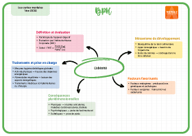 Image d'illustration