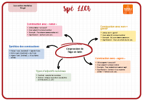 Image d'illustration