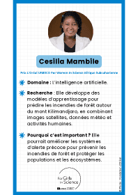 Image d'illustration