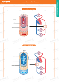 Image d'illustration