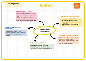 Image d'illustration