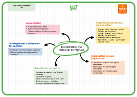 Image d'illustration