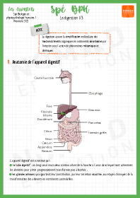 Image d'illustration