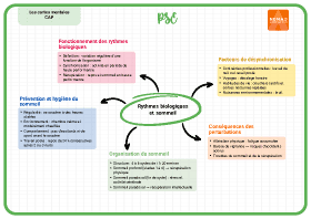 Image d'illustration
