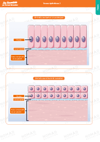 Image d'illustration