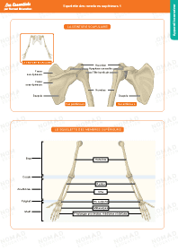 Image d'illustration