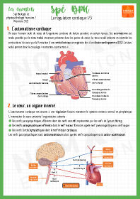 Image d'illustration