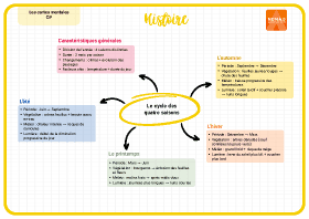 Image d'illustration