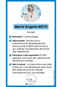 Image d'illustration