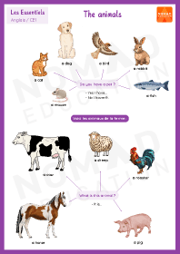 Image d'illustration
