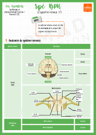 Image d'illustration
