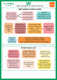 Image d'illustration