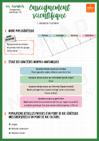 Image d'illustration