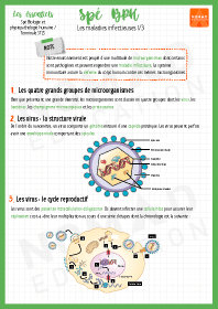 Image d'illustration