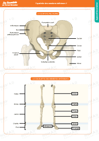 Image d'illustration