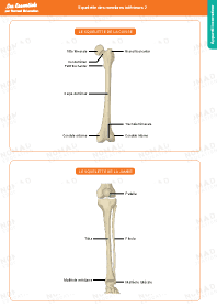 Image d'illustration
