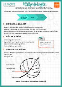 Image d'illustration