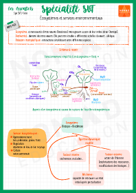 Image d'illustration