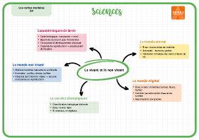 Image d'illustration